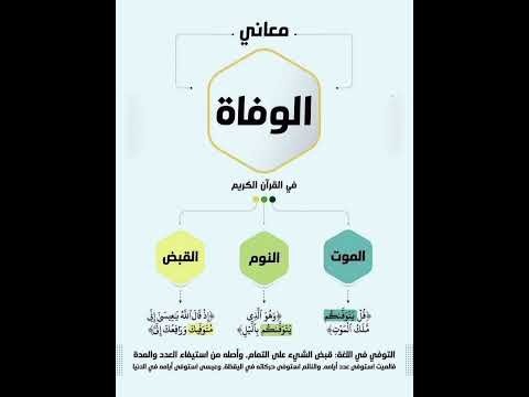 معلومة لغوية معاني النوم في اللغة العربية اللغة العربية لغتي هويتي معانى النوم مستر حسام الزلباني