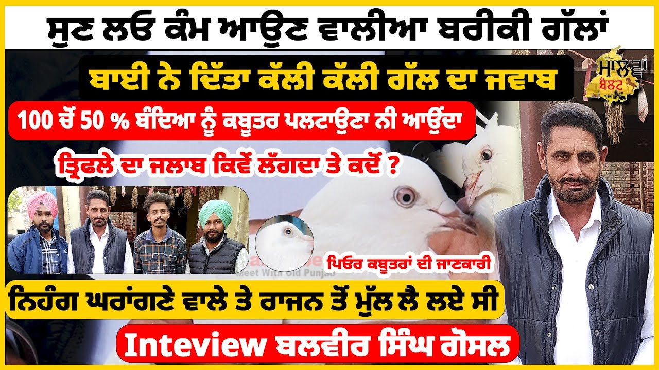 Balveer Singh gosal interview ਬਲਵੀਰ ਸਿੰਘ ਗੋਸਲ | ਕੰਮ ਆਉਣ ਵਾਲੀਆ ਗੱਲਾਂ | ਕੱਲੀ-2 ਗੱਲ ਦਾ ਜਵਾਬ | 