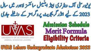 UVAS LAHORE UNDERGRADUATE ADMISSIONS 2023 | MERIT FORMULA | DVM/Pharm D | HOW TO APPLY