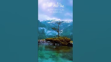 #القرآن الكريم #ماتيسر من سورة فاطر #اكسبلور #القران #اللهم_صل_وسلم_على_نبينا_محمد _