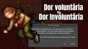 Tíbia - dor e vida: o que ninguém te contou