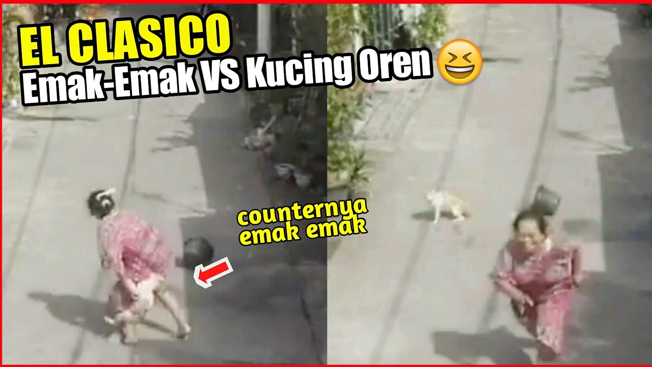 Tak Terima Dipercik Air, Kucing Oren Ini Adu Mekanik Dengan Emak-Emak (El Clasico)