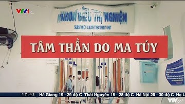Tâm thần do ma túy  | VTV24