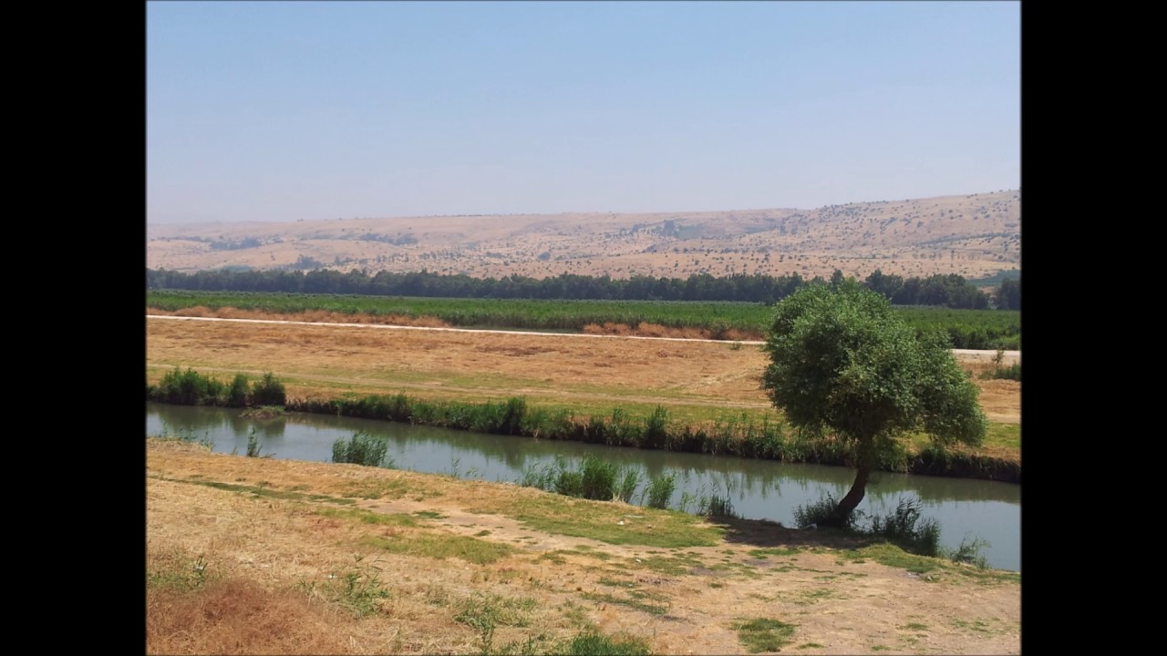 איש ריק - ניר פופליקר