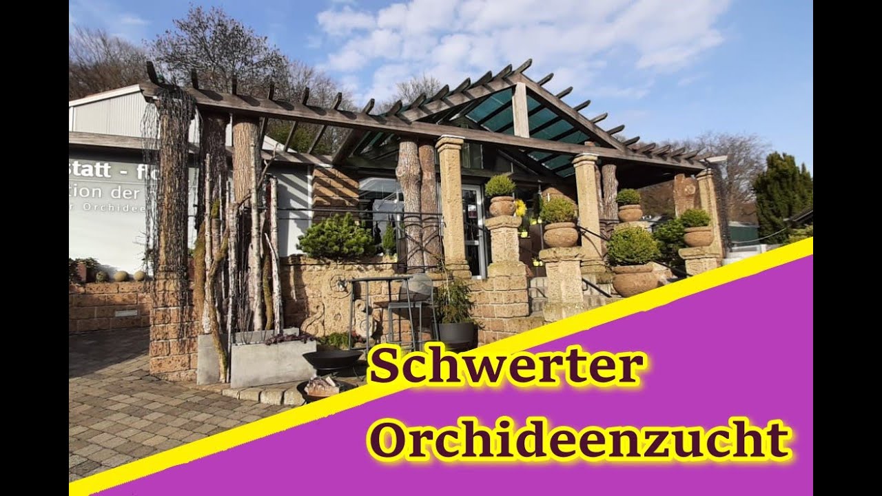 Videoportrait Schwerter Orchideenzucht