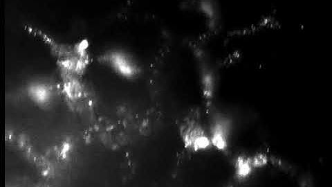 Preserved vasculature in the treated lung being perfused with microspheres