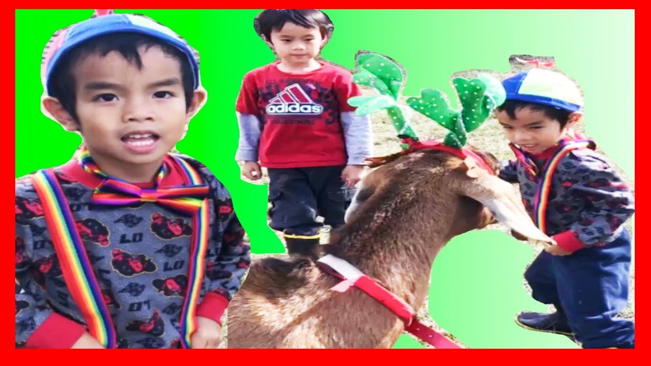 Plippi Pretend Play As a FARMER Taking Care of Animals & Farm