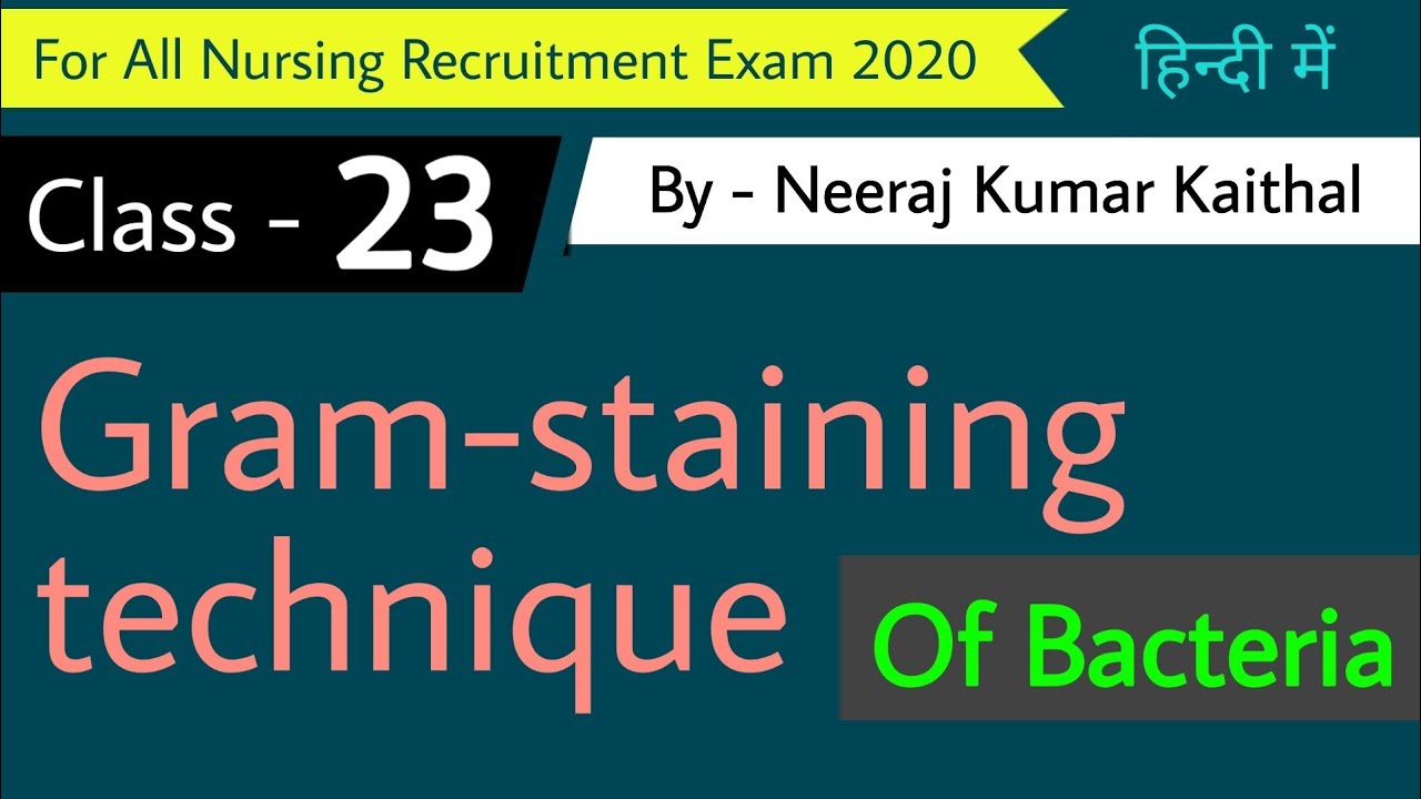 Gram staining technique I gram staining in hindi I gram positive I gram ...
