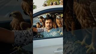 🦅 Gadi Se Nikle Hazaro Eagles 😱 Pura Aasman Bhar Gaya 😂 #trending #funny #comedy #viralvideo