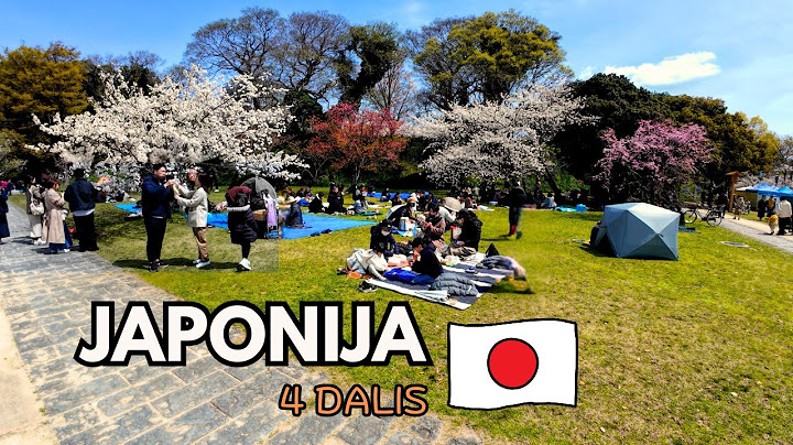 Hirošima, Japonija | Nerealiai graži sala - Miyajima | Paliekame Japoniją | 6 mėnesiai Azijoje |