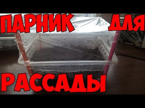 Многоярусный парник для рассады: необычная идея из подручных материалов