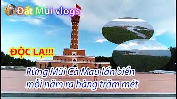 Hành Trình Về Cực Nam Tổ Quốc – Du Lịch Đất Mũi Cà Mau (Phần 1)