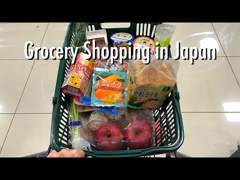 Grocery Shopping Trips in Japan 🛒 Summary of Late January Shopping 🎵