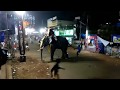 Kottiyam Thazhuthala temple elephant attack 2018