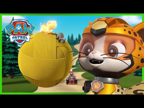 CAT PACK AND THE PUPS TEAM UP