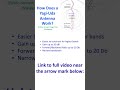 How Does a Yagi-Uda Antenna Work?