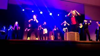 Swallow Robin Airband 2016