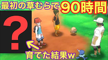 ペレはいつでもポケモンマスター ペレはいつでもポケモンマスター