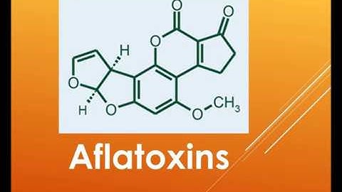 overview: Aflatoxin