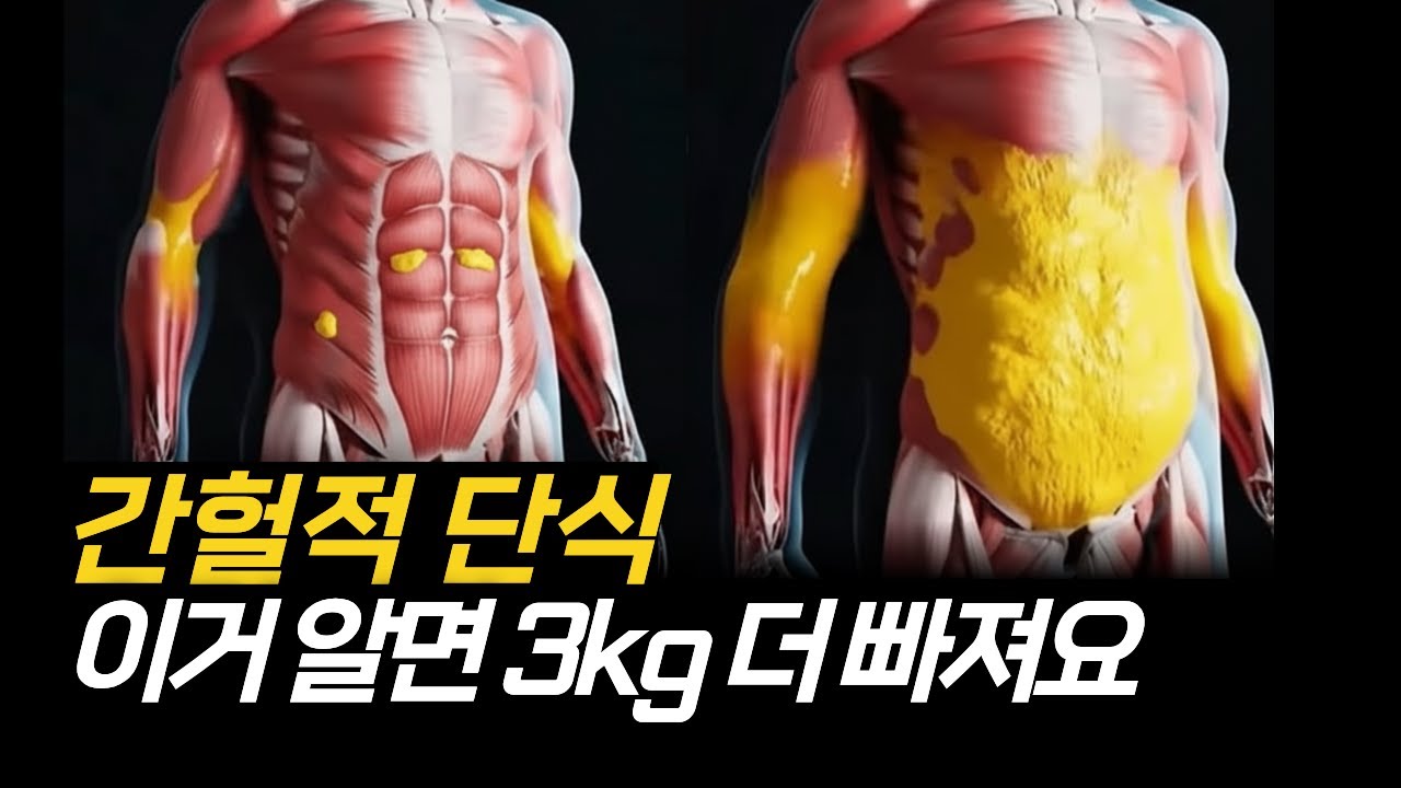 간헐적 단식 기본편 | 핵심만 요약 정리 - YouTube