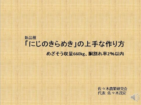 日本最高スペックの稲「にじのきらめき」を上手に栽培しよう