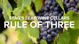 Stag's Leap Wine Cellars - Winemaker Marcus Notaro's Rule of 3 for Learning How Wine Ages by stagsleapwinecellars 842 views 1 year ago 2 minutes, 50 seconds