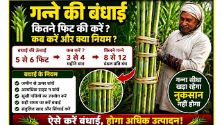 Essential Rules for Tying Sugarcane: How to Tie: screenshot 5