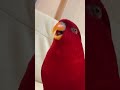 wuewuewuewue …