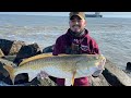 Pesca de red drump Gigantes en galveston Texas. #redfish #reddrum #pesca #bullred #bullredfish