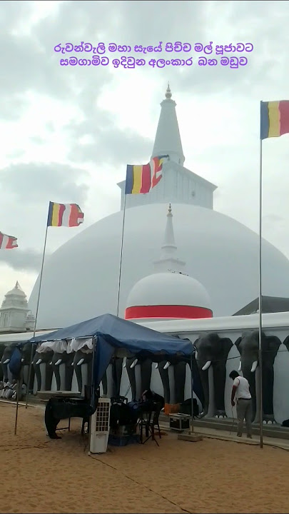 මහා සෑයේ අලංකාර තැනක්😲🙏🙏Ruwanweli Seya is a beautiful place.😲🙏#ruwanweliseya #travel #srimahabodiya