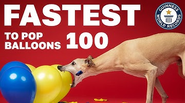 The FASTEST Records of All Time! | Guinness World Records