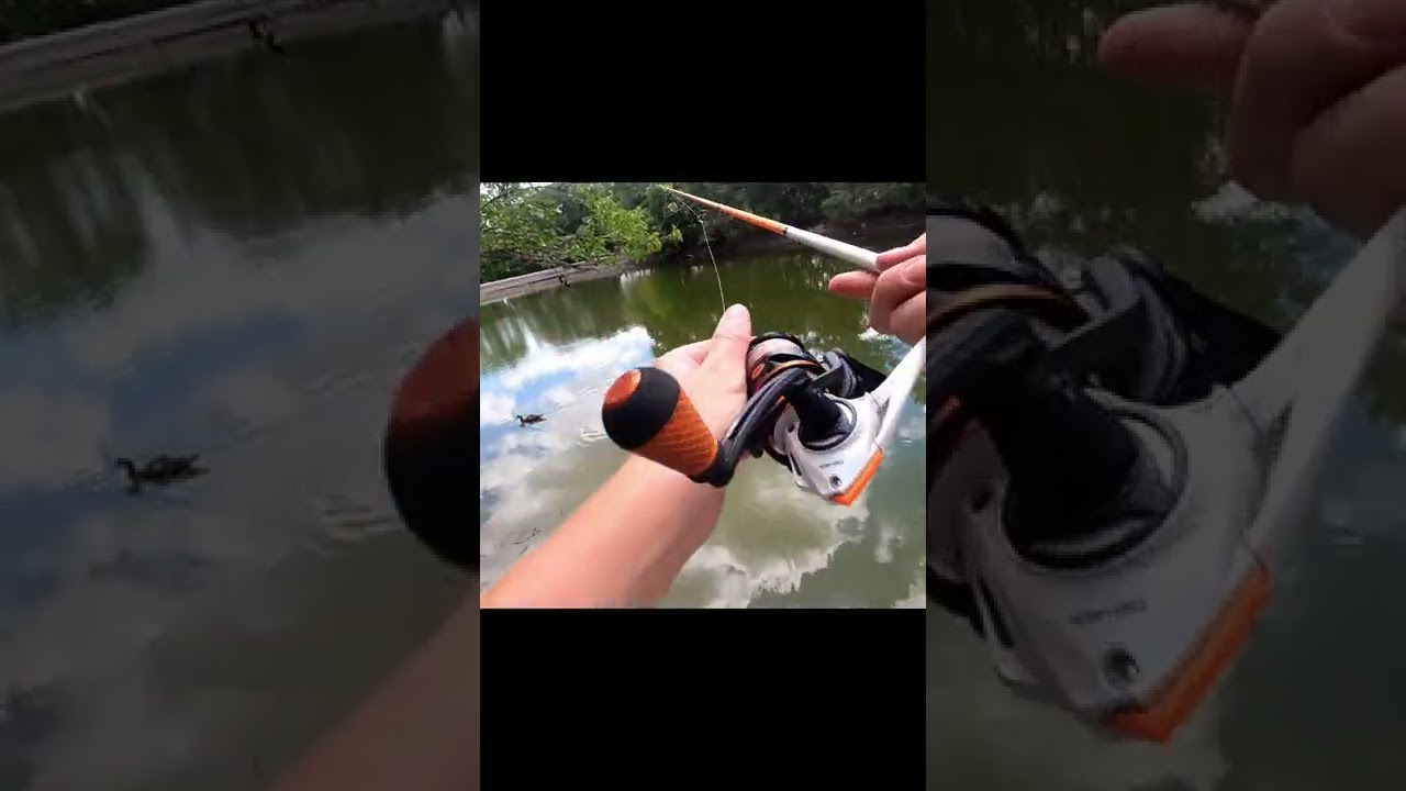 How to find free lures! shorts fishing Mindovermetal English