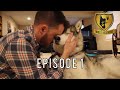 TPLO Dog Surgery ACL / CCL Tear | Ghost Recovers Episode 1