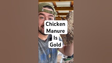 #compost #hotcompost #chickenmanure #gardening #chickens