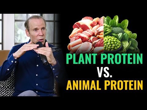 Is Plant Protein