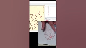 Digitizing with Embrilliance