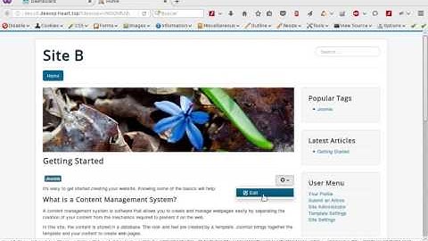 deevop: How to log into the Joomla Frontend