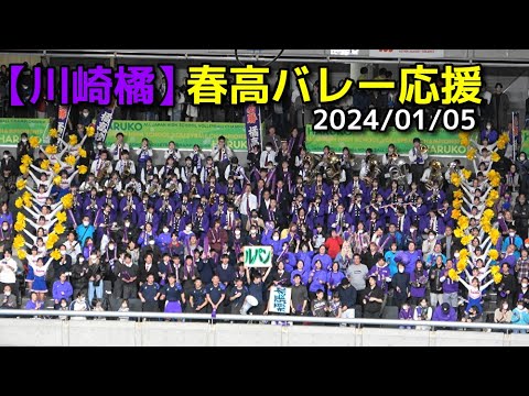 【川崎橘】春高バレー応援　2024/01/05 @nomura0720