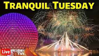 🔴Live: Tranquil Tuesday at Epcot - Luminous is Back on Stream!  Walt Disney World - 4-30-24