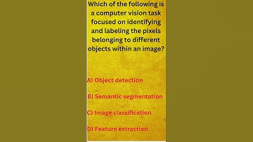 Semantic Segmentation