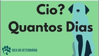 Qual Intervalo entre o Cio da Cadela? A Cada Quanto Tempo Entra em Cio ou se Repete