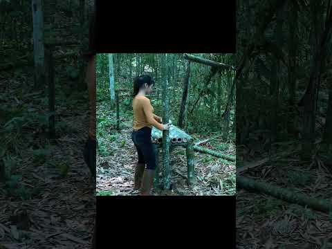 girl alone bushcraft survival #yangwild #survival #bushcraft #caping #outdoors #msyang