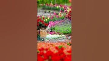 سورة الرحمن #ياسر_الدوسري #قرآن_كريم #مصحف_القرآن_الكريم #مصحف