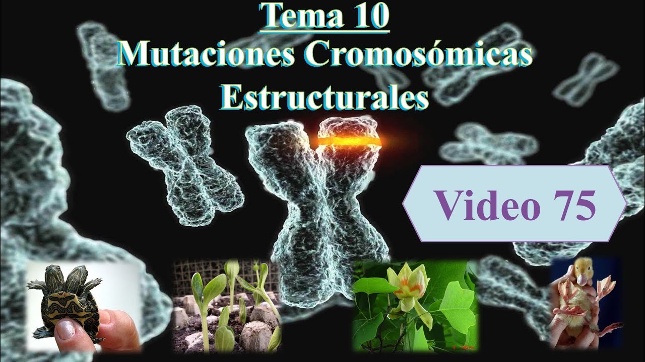 78 Tema 10 Mutaciones Cromosómicas Estructurales. Genética (Cód. 2030)