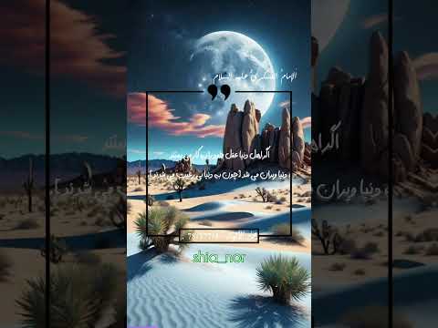 الإمام العسكري عليه السلام بیابان کوه ماه شب کاکتوس شن ماسه خار ستاره شفق قطبی اسمان