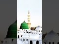 Ab kahin Dil nahi lag raha hai#short#madina 🕌