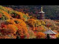 念仏宗無量寿寺(念佛宗)総本山「佛教之王堂」〜紅葉 兵庫県加東市