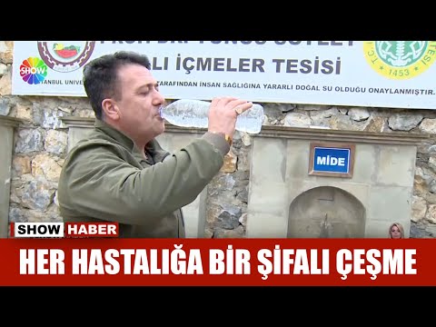 Her hastalığa bir şifalı çeşme