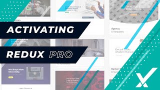 Celebrity Installing and Activating Redux Pro Wealth