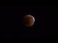 2022 Blood Moon Total Lunar Eclipse Filmed Over Cocoa Beach in 4k